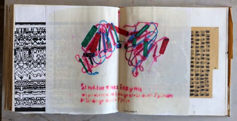 Buch FUZZY 1996 - 2002 25
