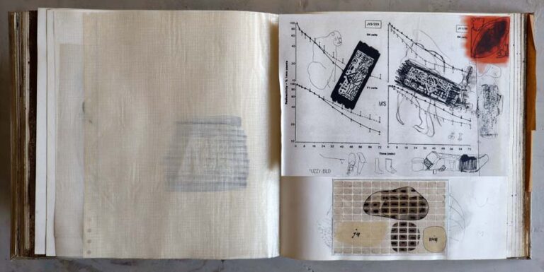 Buch FUZZY 1996 - 2002 33